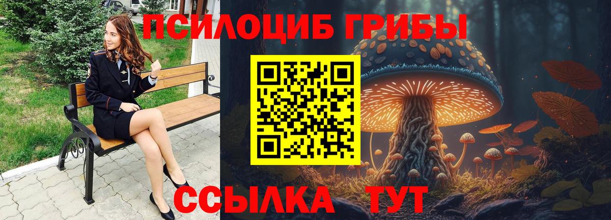 купить  цена  Вход с VPN  Кропоткин  Галлюциногенные грибы Magic Shrooms 